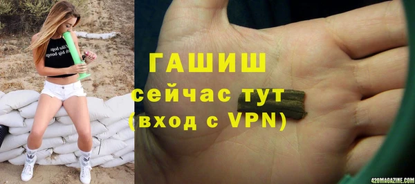 молекула духа Богородицк