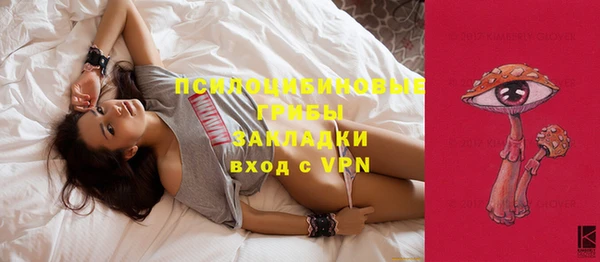 прущая мука Богданович
