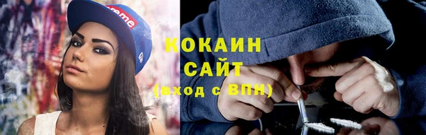 молекула духа Богородицк