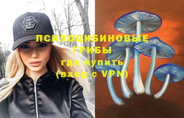 молекула духа Богородицк