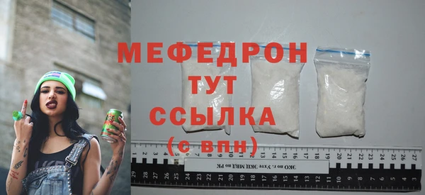 молекула духа Богородицк