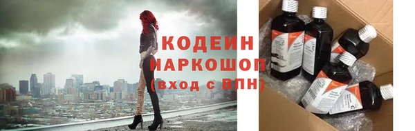 молекула духа Богородицк