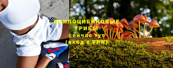 прущая мука Богданович