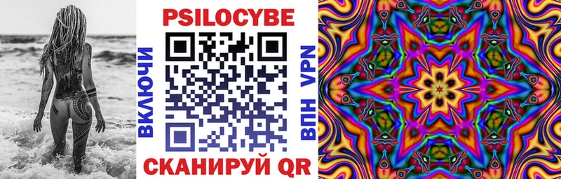 Псилоцибиновые грибы Cubensis  Морозовск 
